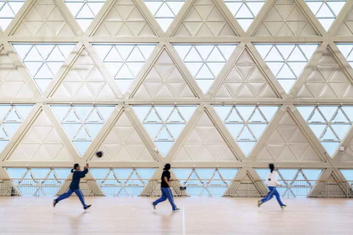 BIM建筑|龙泉中学体育馆 / 中国建筑西南设计研究院有限公司