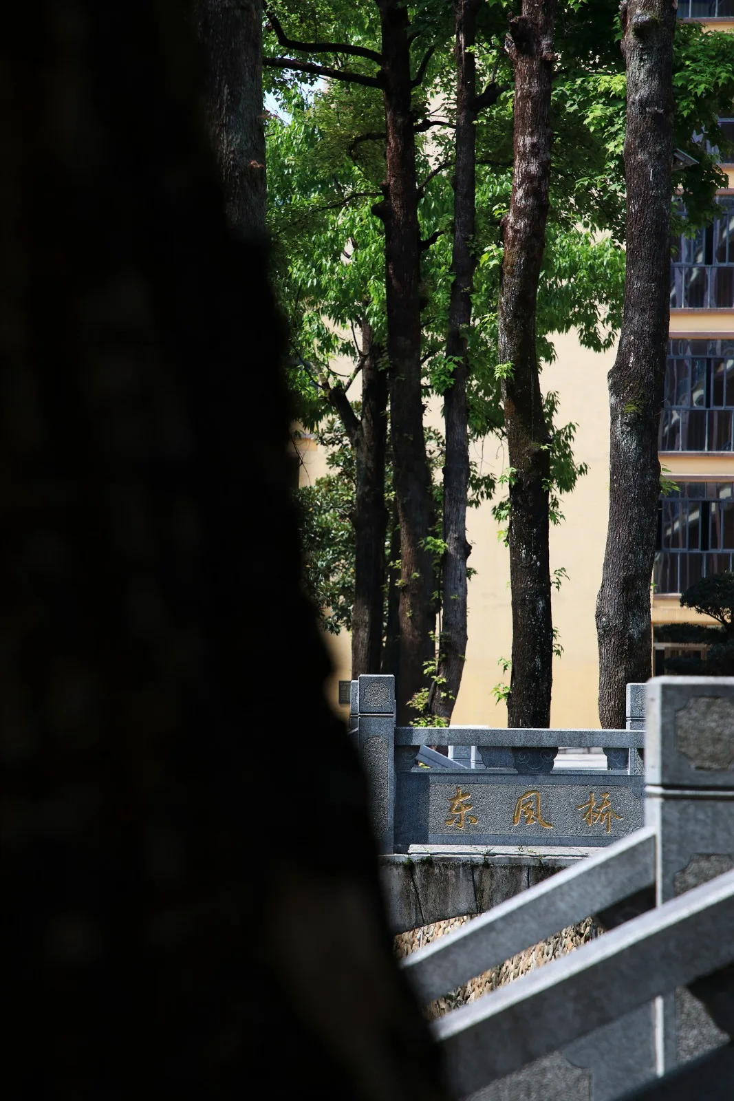 BIM建筑|一座深藏在云和小县城的校史馆 / 丰间建筑事务所