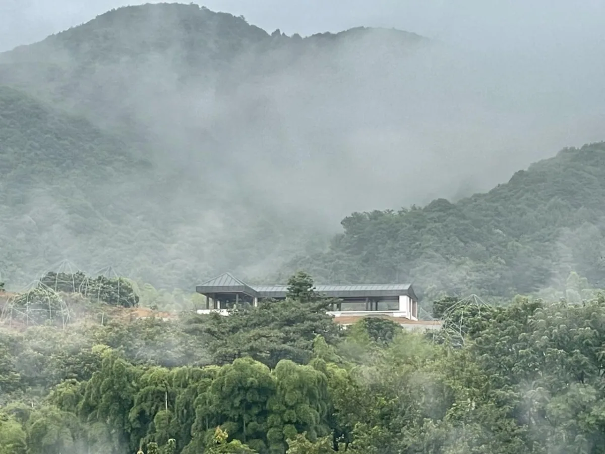 BIM建筑|四明山麓的杉野茶咖 / 平介设计