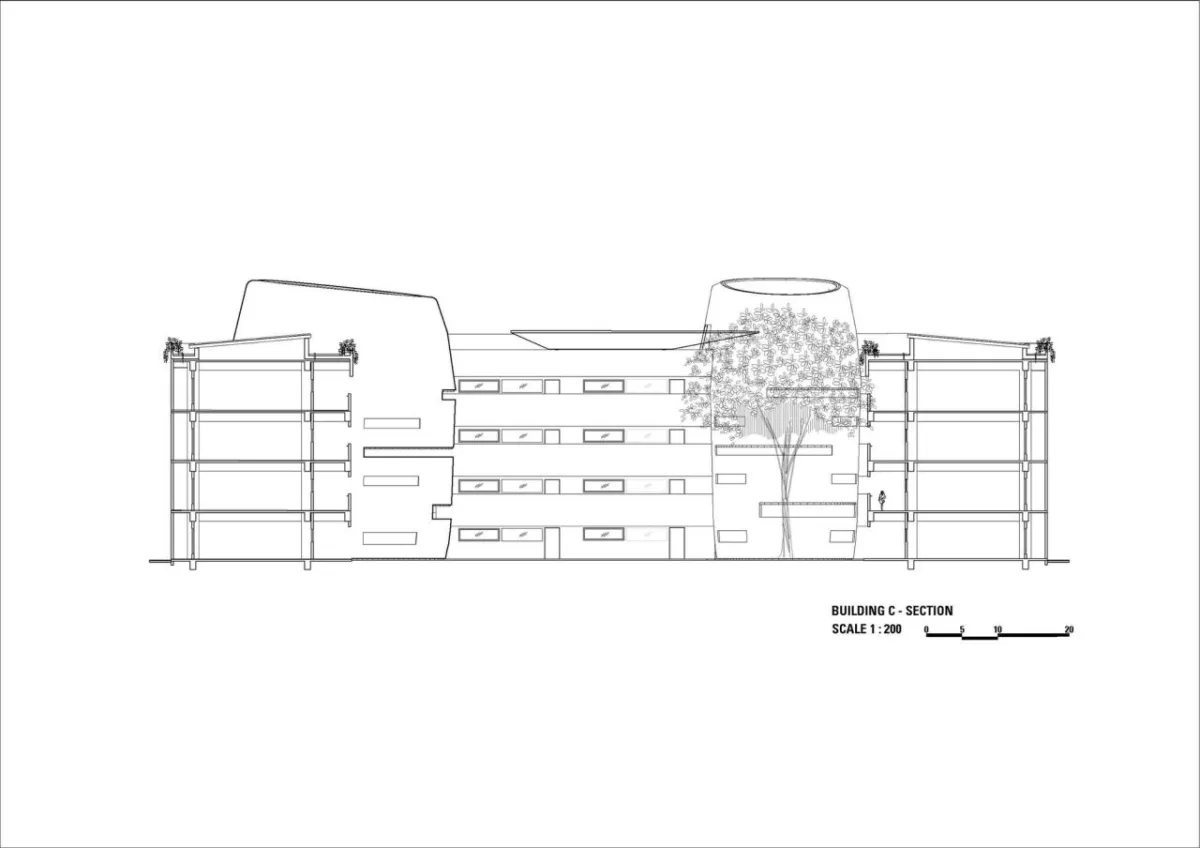 BIM建筑|Binus 三宝垄教育园区 / Denton Corker Marshall