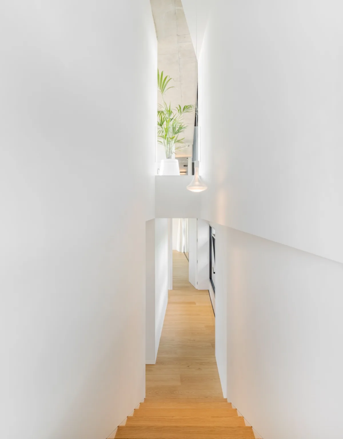 BIM建筑|Quinta do Rei 住宅 / Contaminar Arquitetos