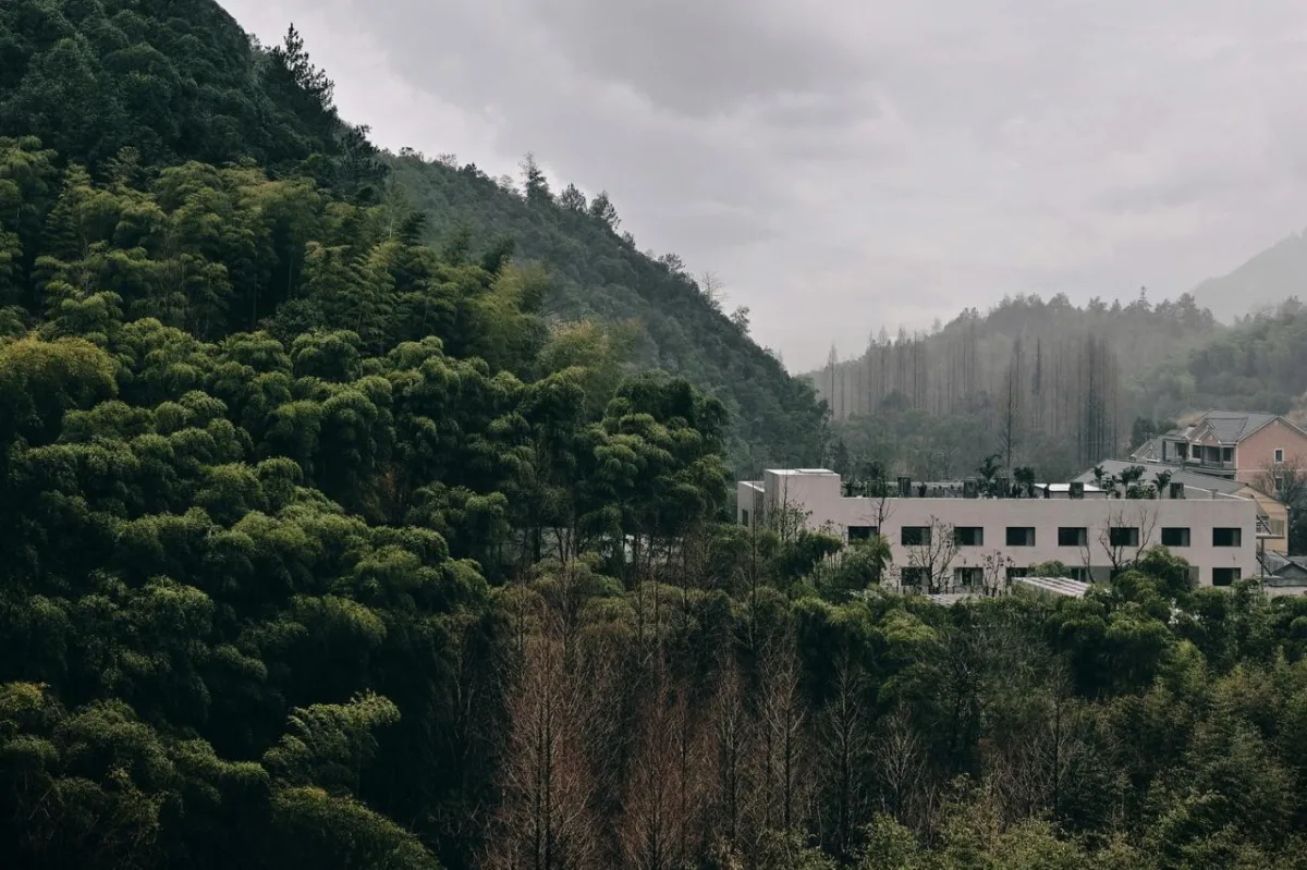 BIM建筑|杭州青山青年社 / 间筑设计