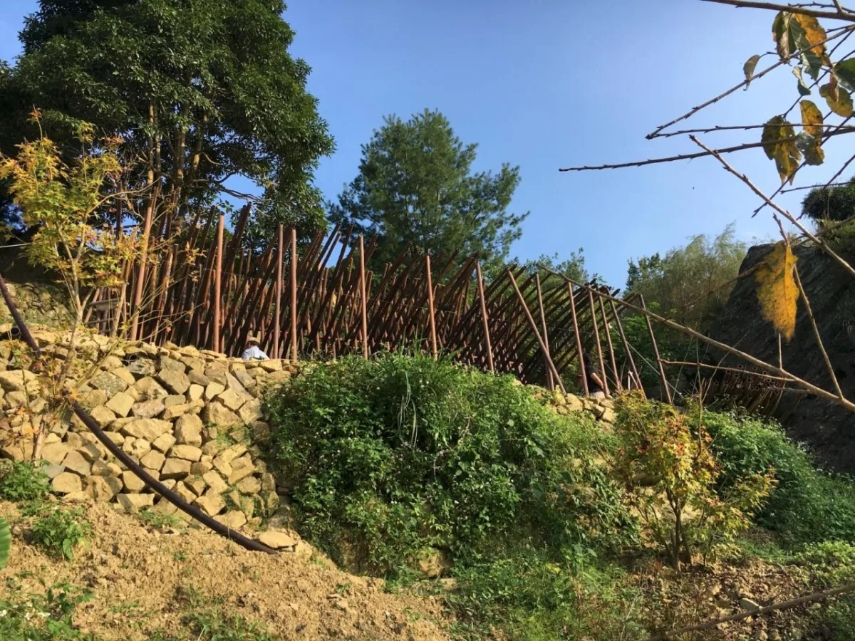 BIM建筑|清水茶坊 / Behet Bondzio Lin Architekten