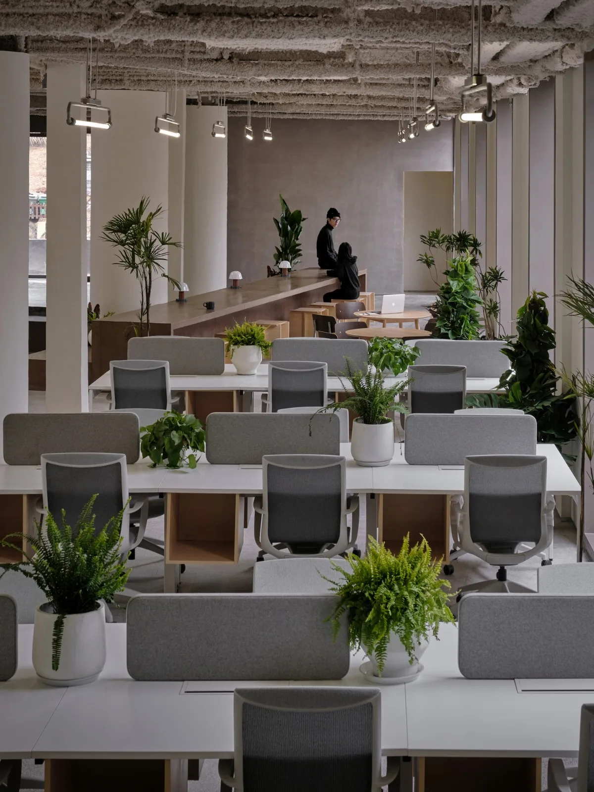 BIM建筑|杭州青山青年社 / 间筑设计