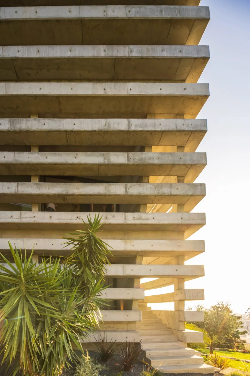 BIM建筑|Quinta do Rei 住宅 / Contaminar Arquitetos