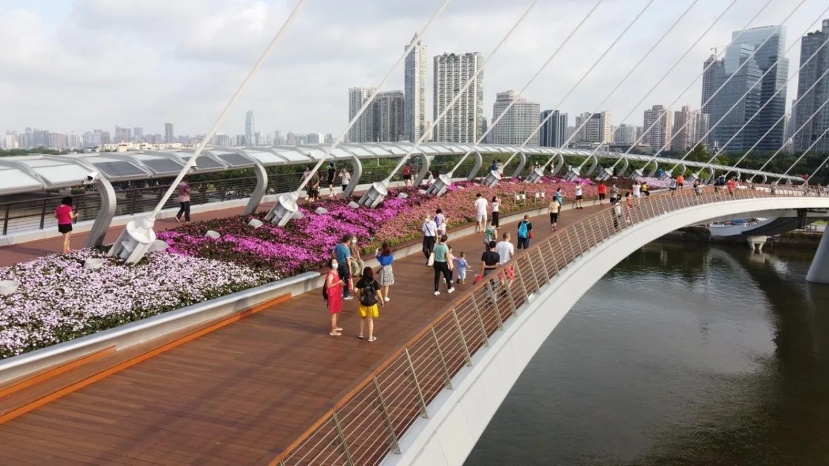 BIM建筑|广州海心桥 / 华南理工大学建筑设计研究院有限公司