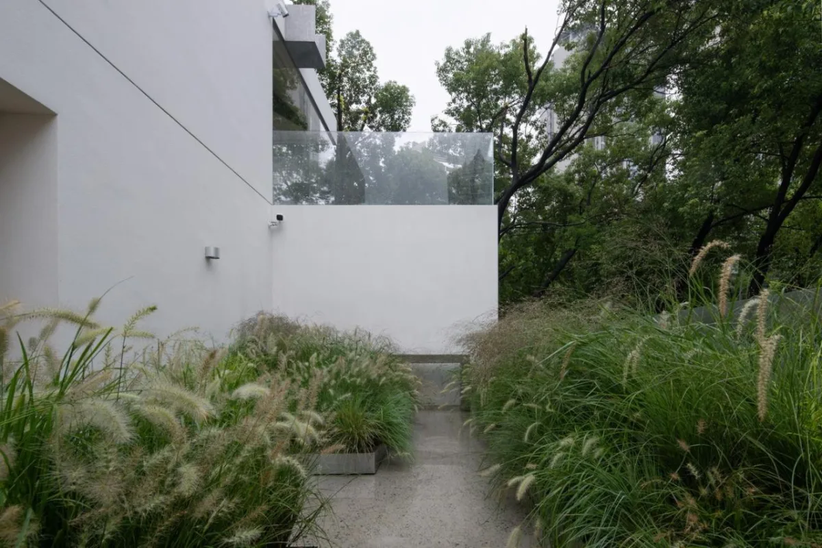 BIM建筑|上海长乐路 YEARLY PLAN / dongqi 栋栖设计