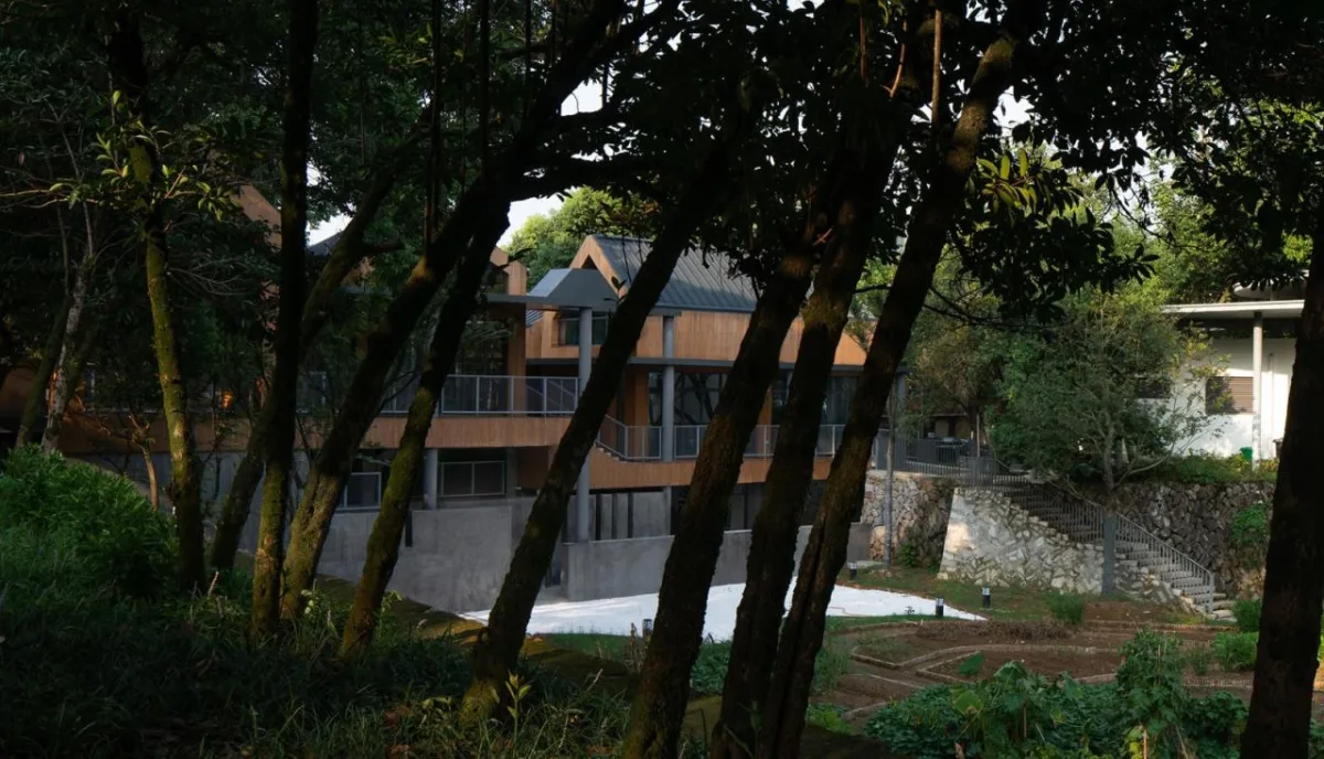 BIM建筑|溪口未来社区之家 / 严旸建筑设计
