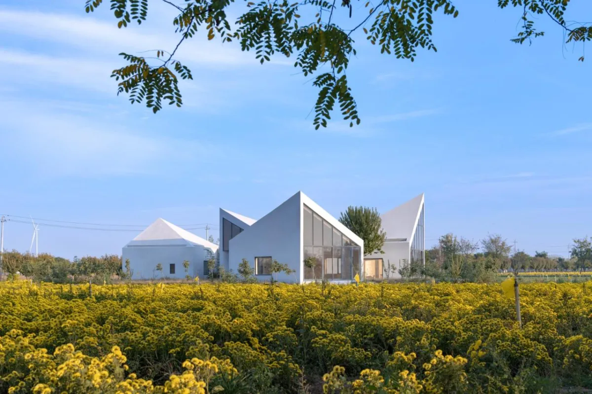 BIM建筑|云台山冰菊花田书馆 / 一树建筑