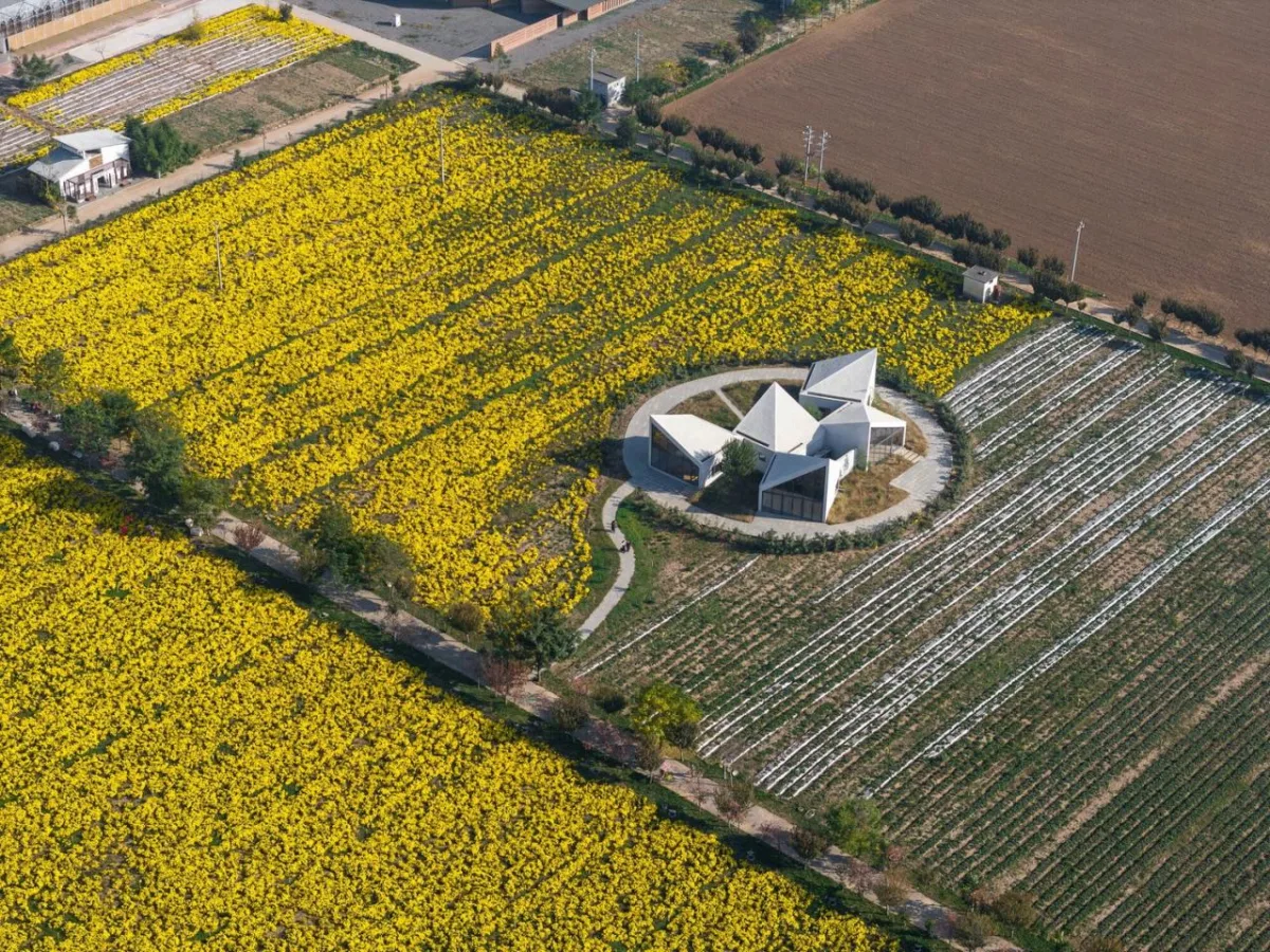 BIM建筑|云台山冰菊花田书馆 / 一树建筑