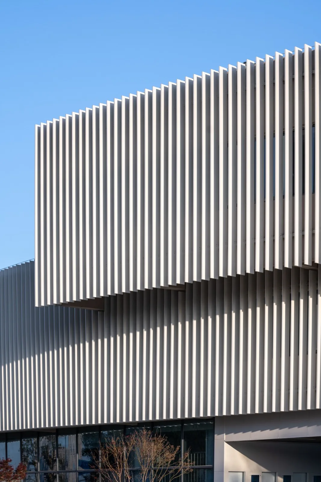 BIM建筑|扬名实验学校 / 米丈建筑