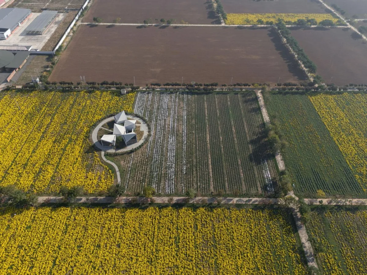 BIM建筑|云台山冰菊花田书馆 / 一树建筑
