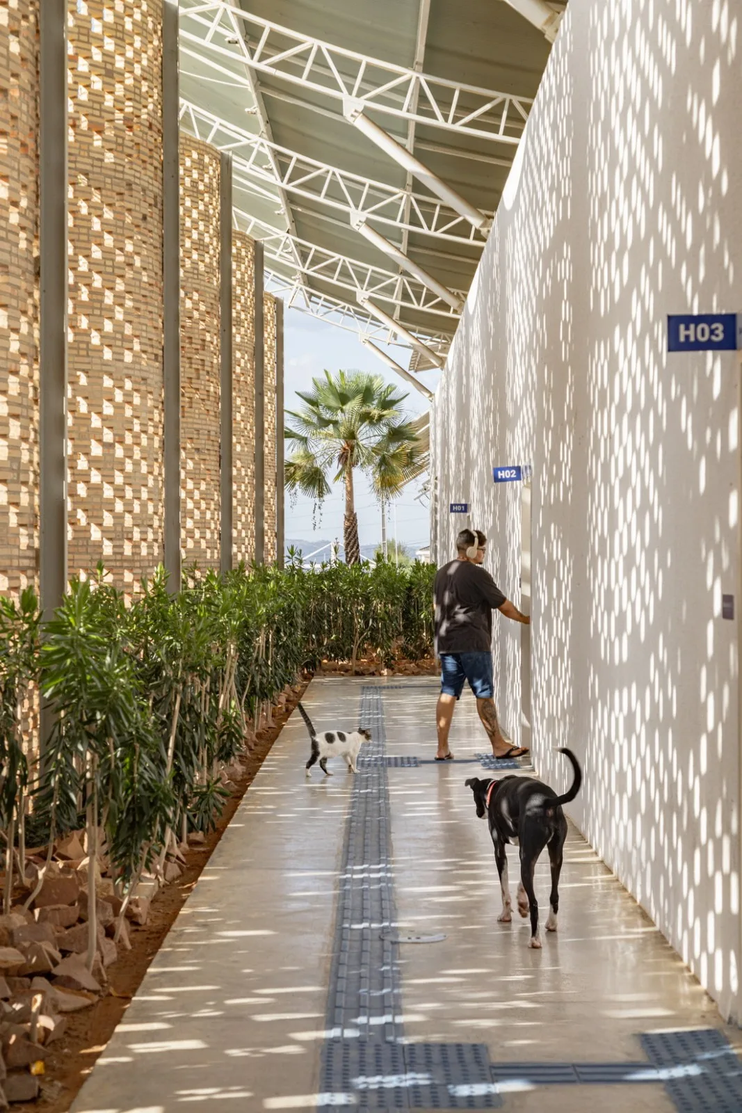 BIM建筑|乌尼埃朗学校兽医院 / Lins Arquitetos Associados