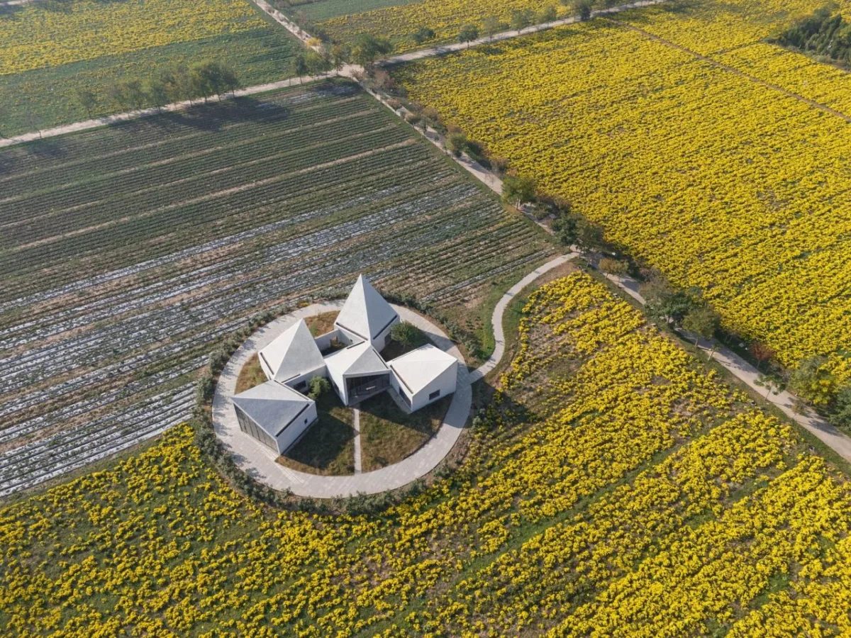 BIM建筑|云台山冰菊花田书馆 / 一树建筑