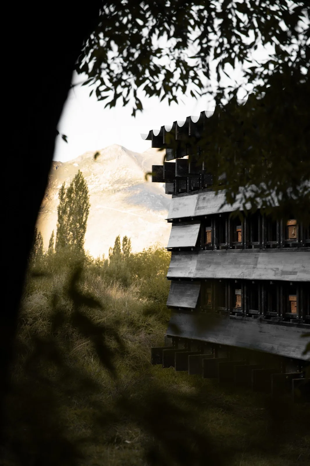 BIM建筑|西藏山南观蜂小屋 / 月壤建筑