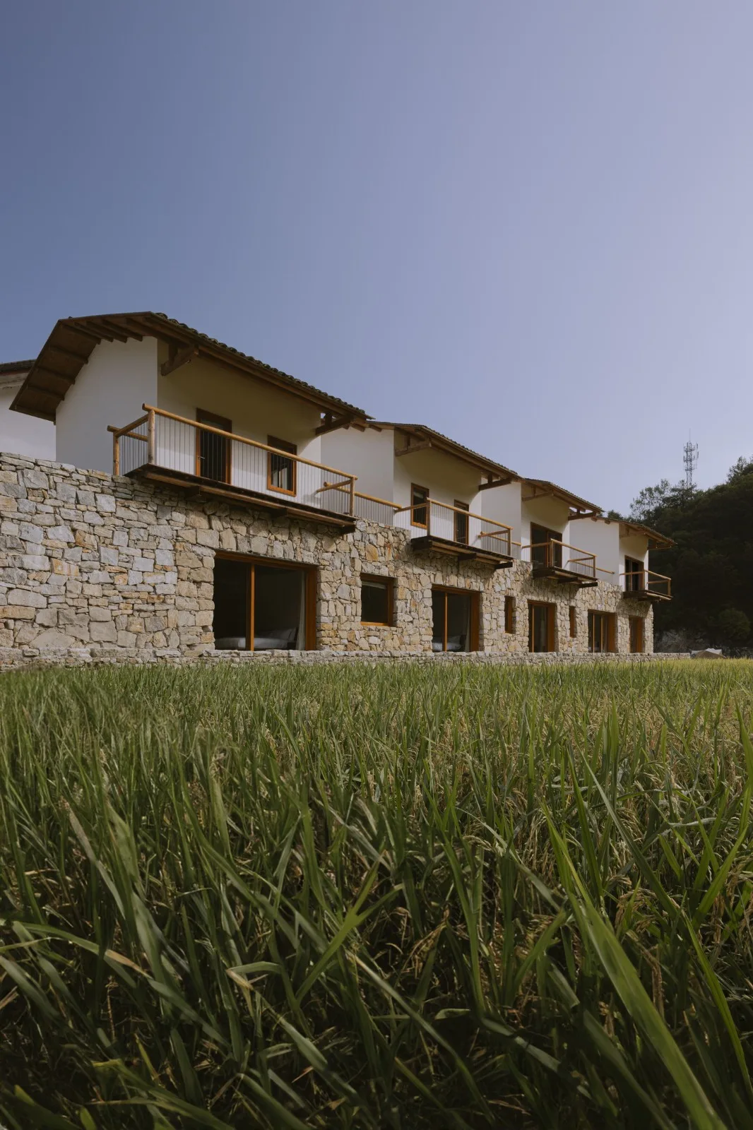 BIM建筑|鹿柴山集 精品民宿 / 小大建筑