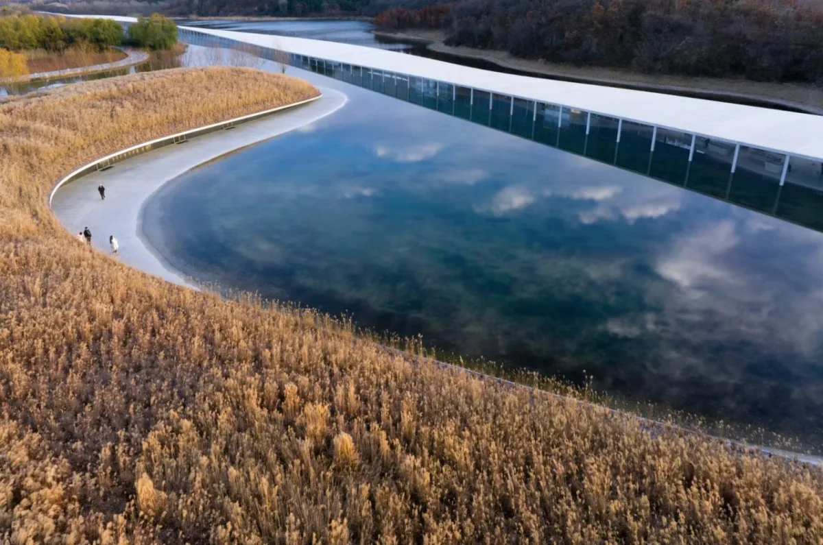 BIM建筑|在水艺术博物馆 / 石上纯也建筑事务所