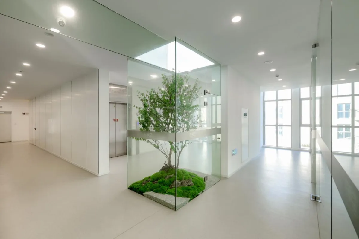 BIM建筑|铁枫堂研发大楼 / 形势建筑