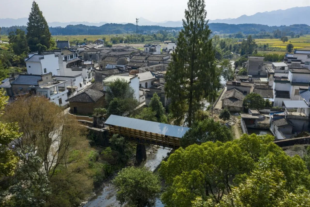 BIM建筑|丰梧季·水渠廊桥 / IARA