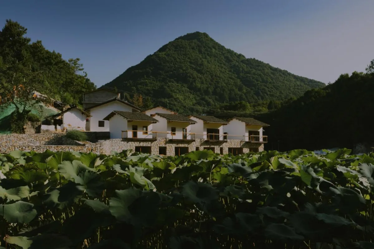 BIM建筑|鹿柴山集 精品民宿 / 小大建筑