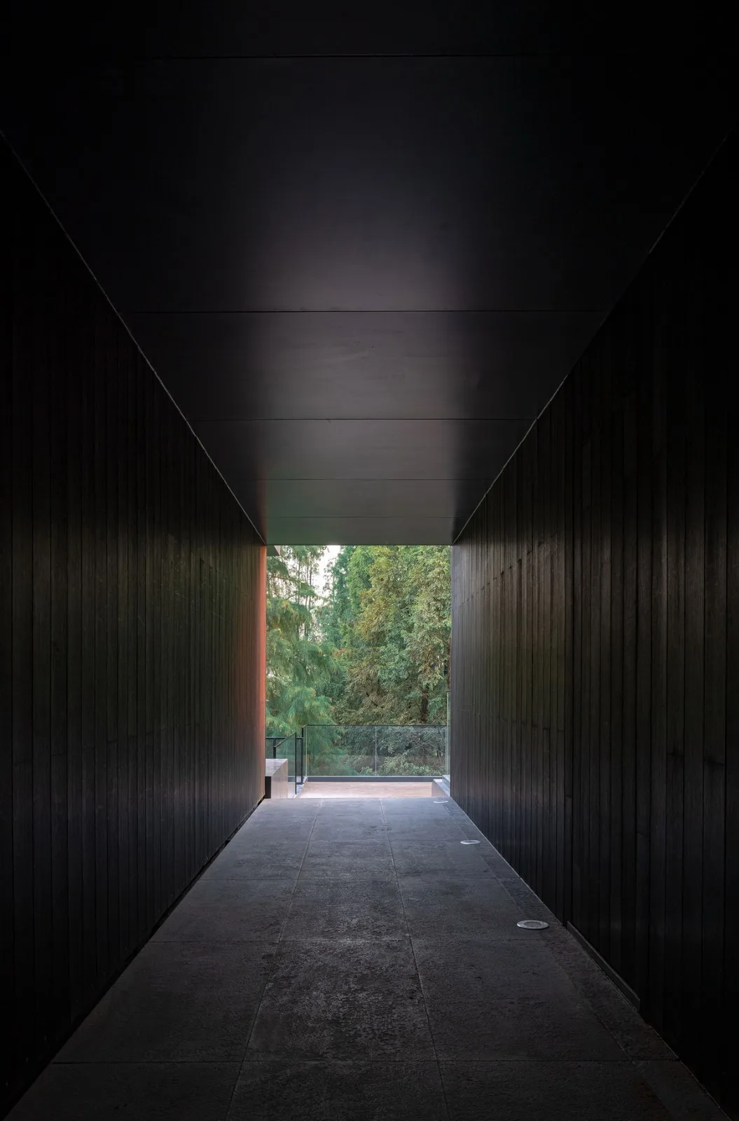 BIM建筑|桐乡濮院红旗漾杉林部落共享餐厅 / 上海严旸建筑设计工作室