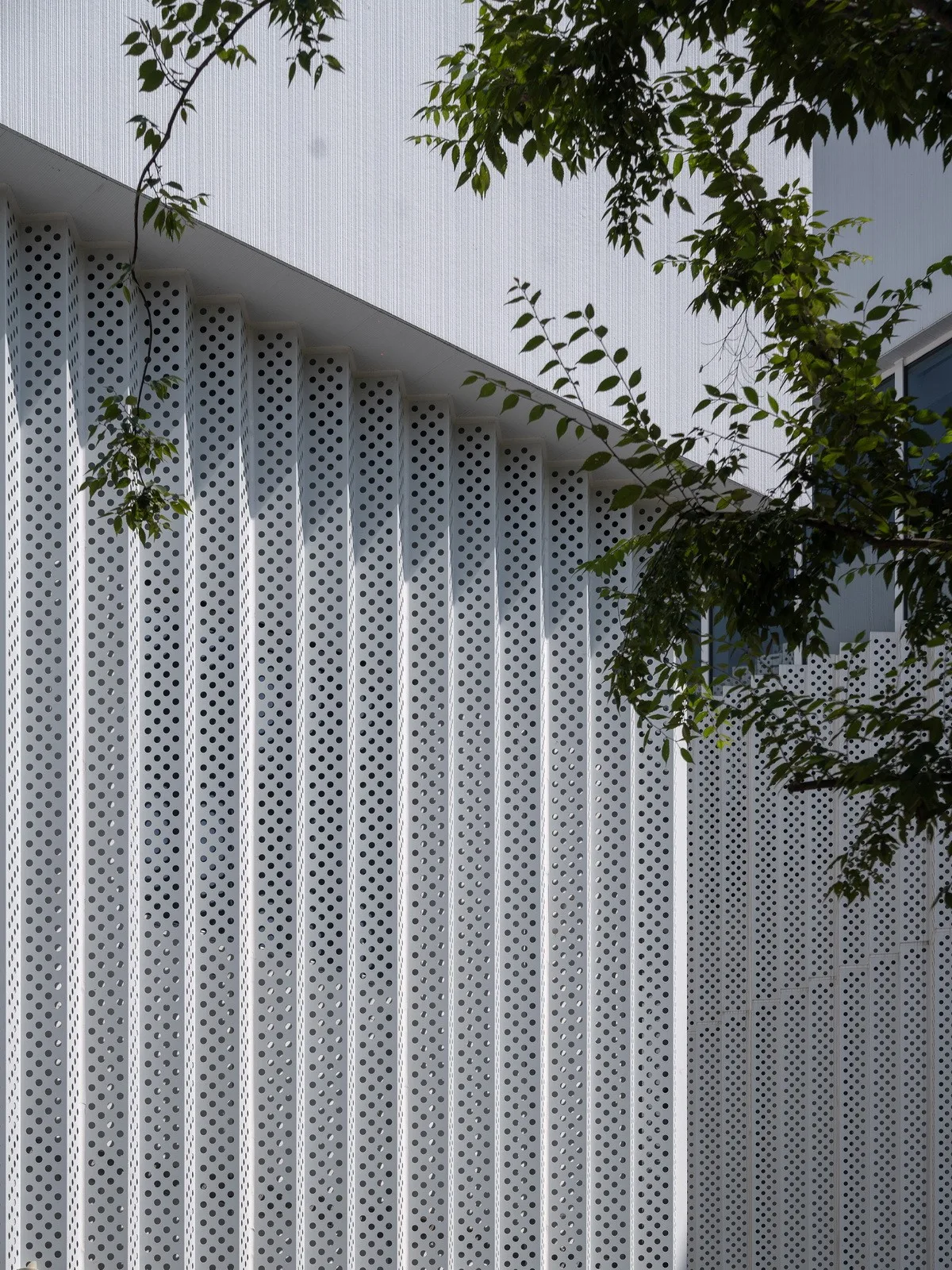 BIM建筑|海宁长安国际花卉产业园 / 森上建筑+朴筑建筑