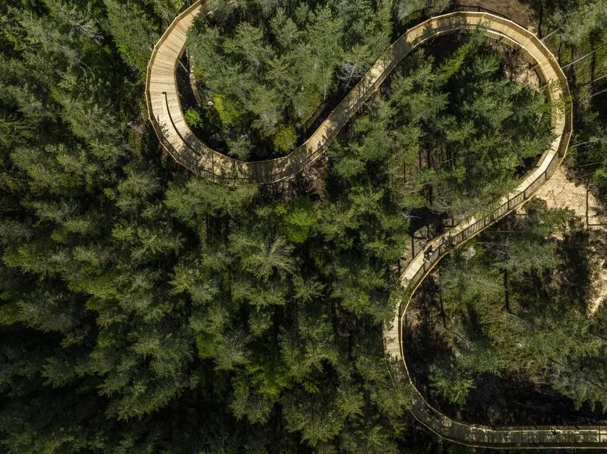 BIM建筑|EFFEKT设计“所有自然爱好者”都可以访问的树顶人行道