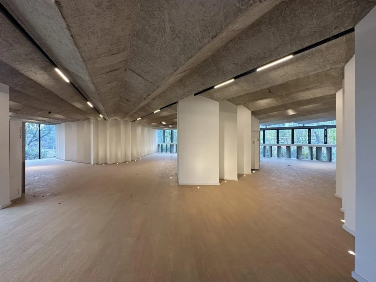 BIM建筑|中国美术学院良渚校区一期全场落成 / 非常建筑