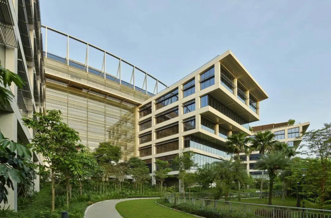 BIM建筑|开启花园办公的未来形态：盛裕集团总部 / Surbana Jurong Campus