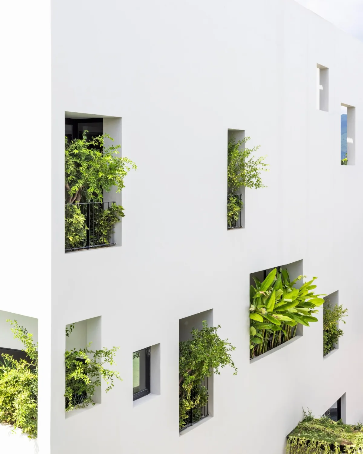 BIM建筑|天空花园别墅 / Pham Huu Son Architects