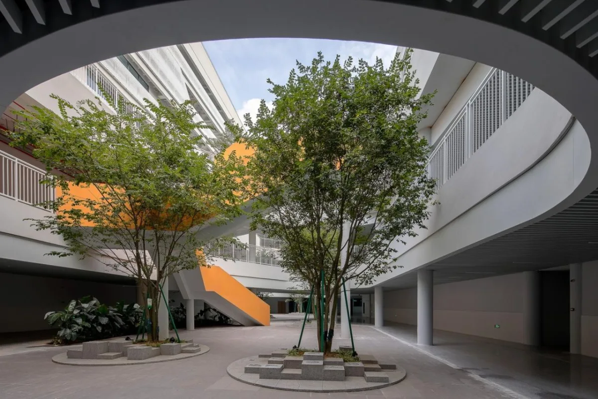 BIM建筑|南方科技大学附属实验学校 / 立方设计