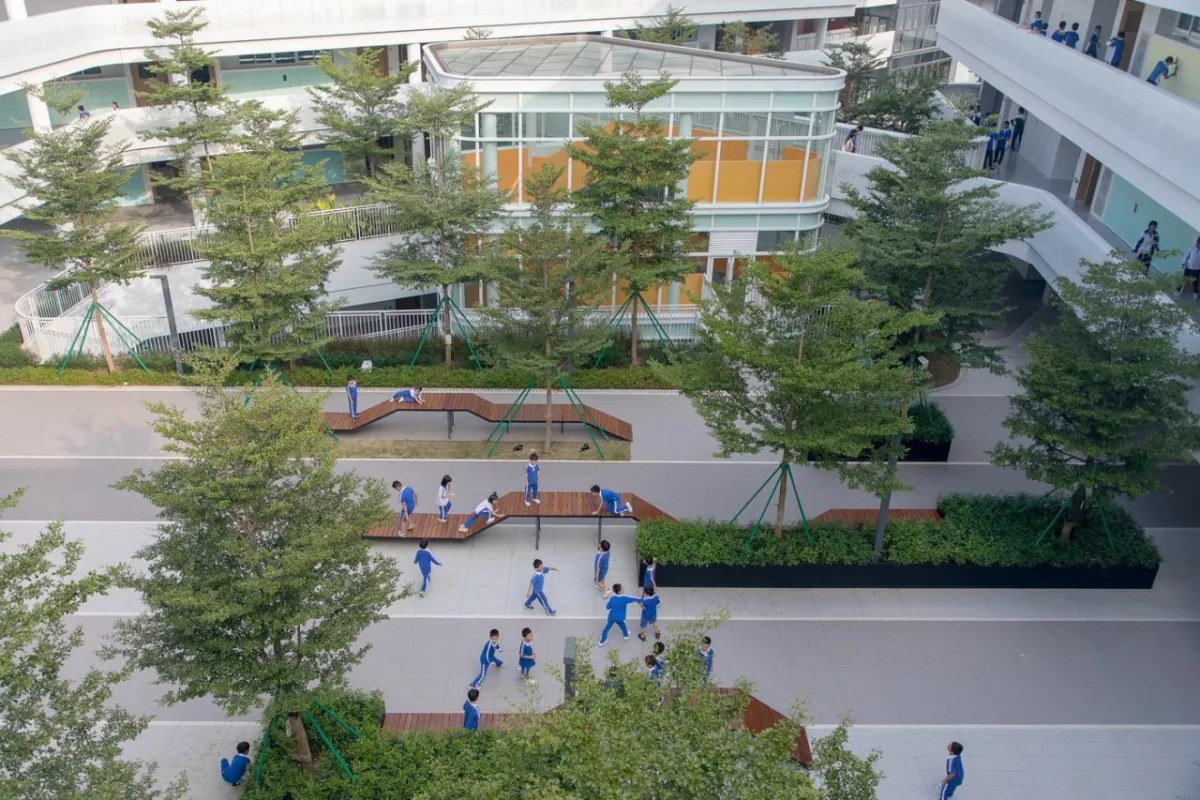BIM建筑|南方科技大学附属实验学校 / 立方设计