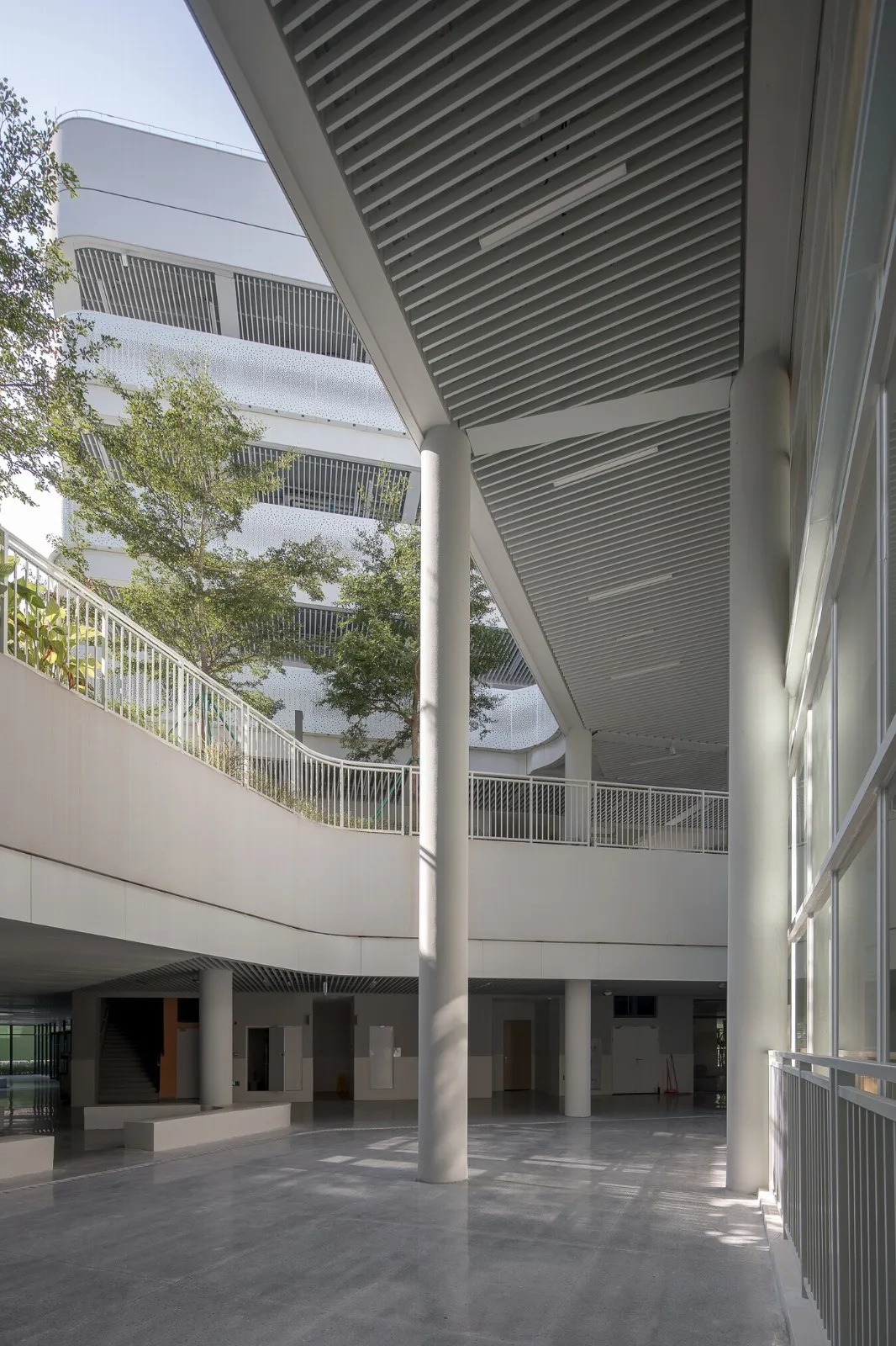 BIM建筑|南方科技大学附属实验学校 / 立方设计