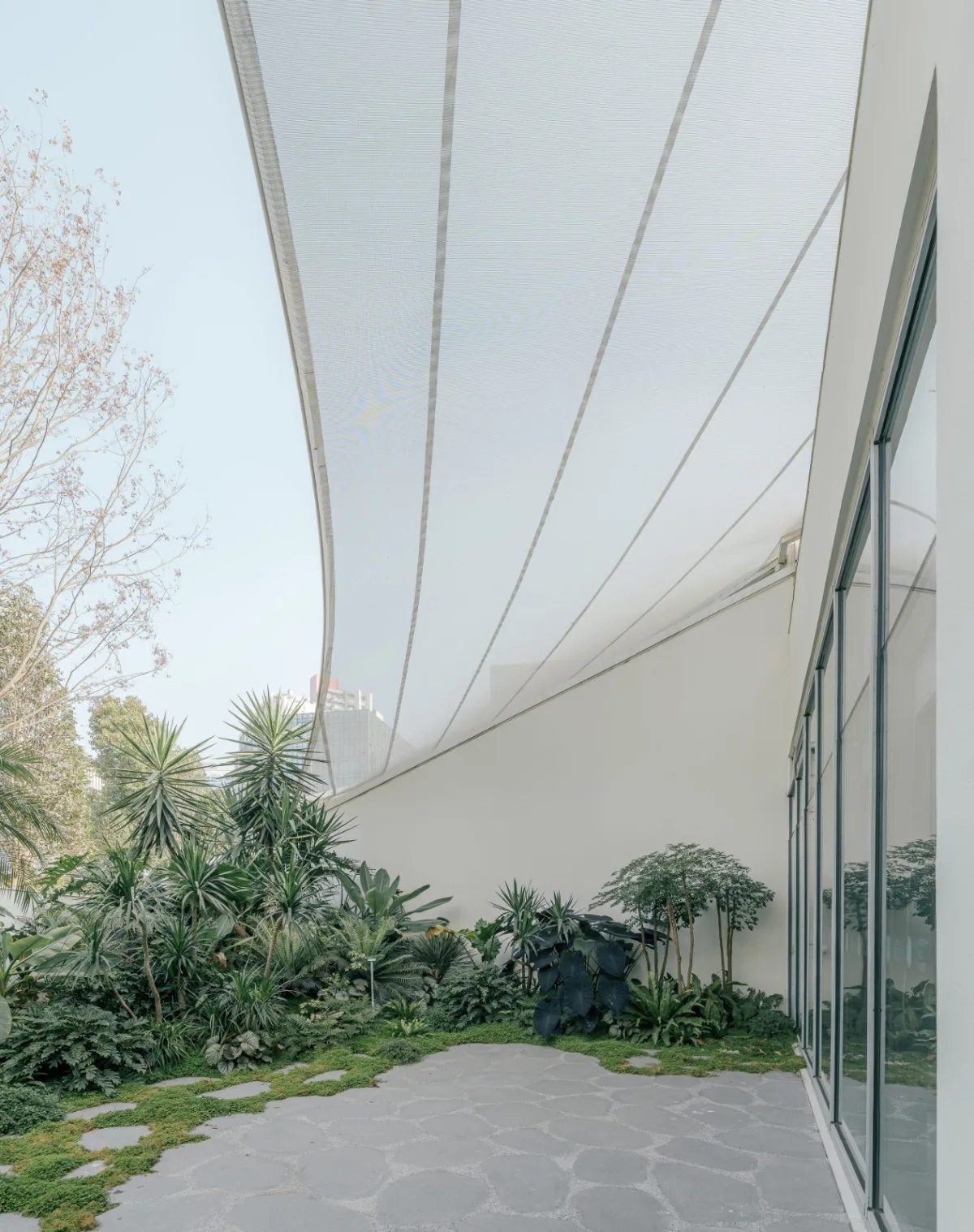 BIM建筑|麓湖一片森林儿童博物馆 / 大料建筑