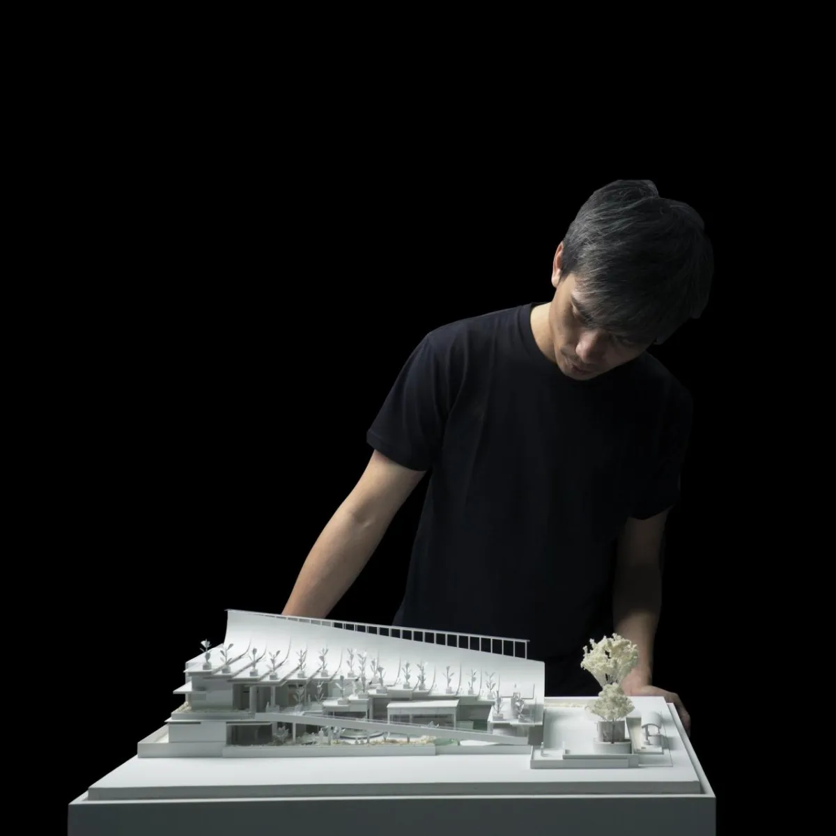 BIM建筑|Aruma 分层花园 / RAD+ar