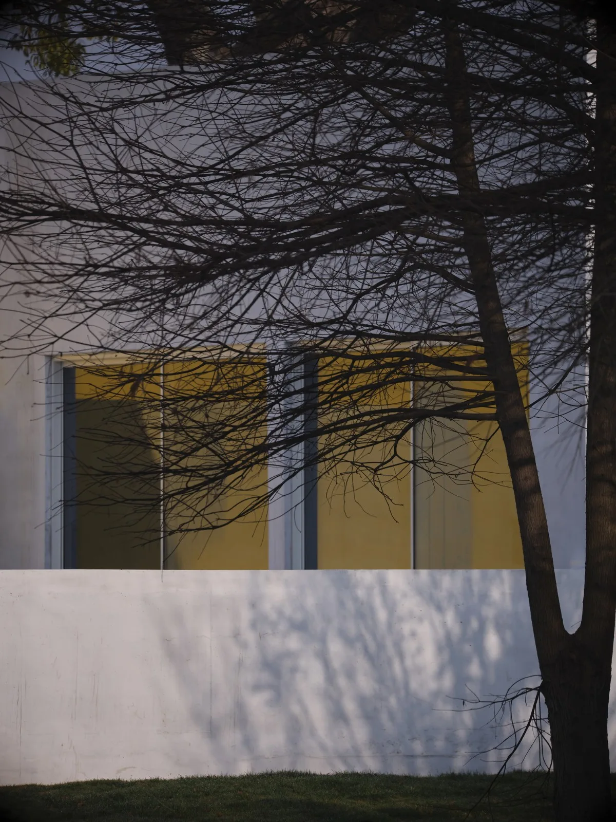 BIM建筑|“q” Center —上海廊下村民活动中心 / Atelier tf + ppas