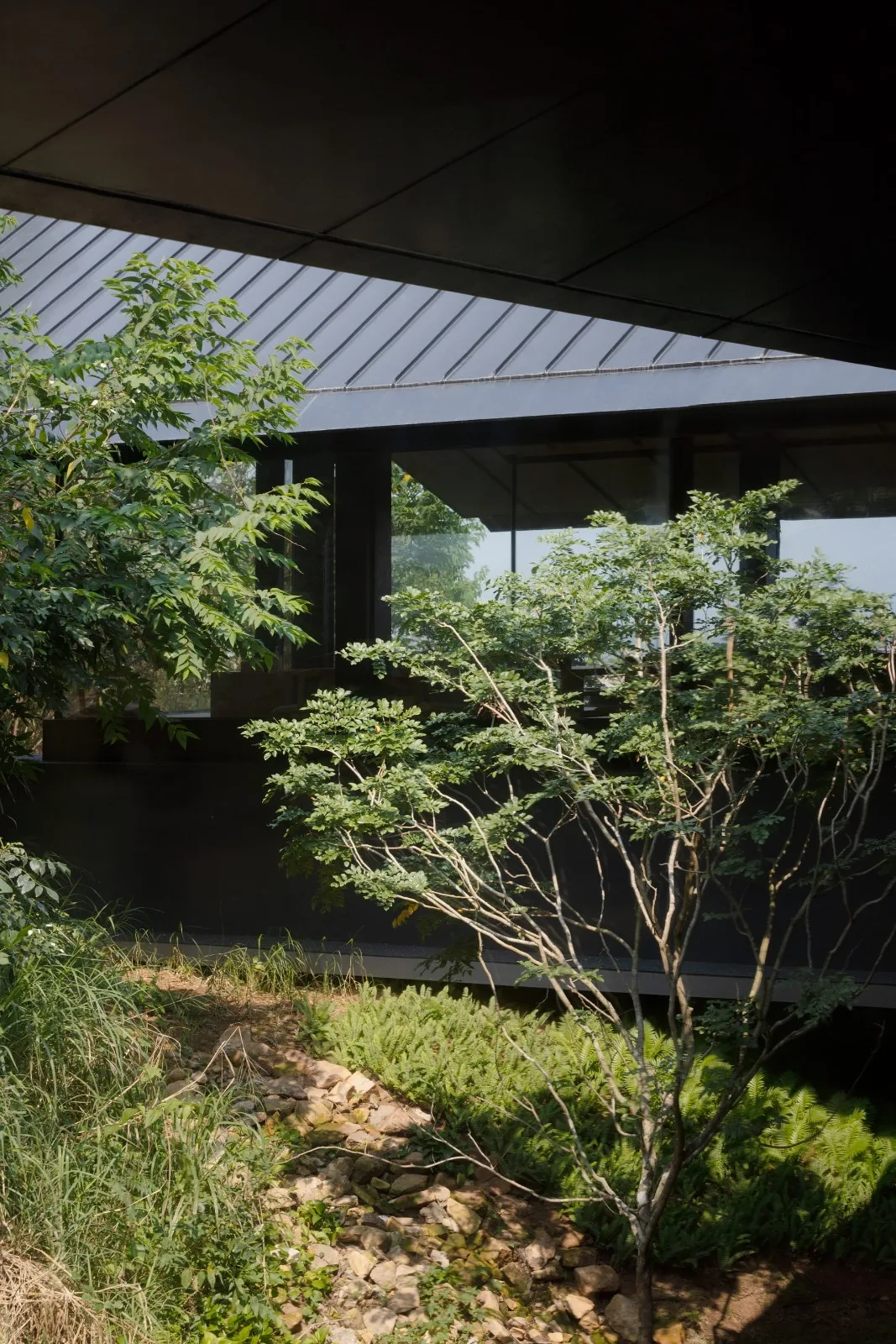 BIM建筑|三亚山谷餐厅（森海·四葉） / PLAT ASIA