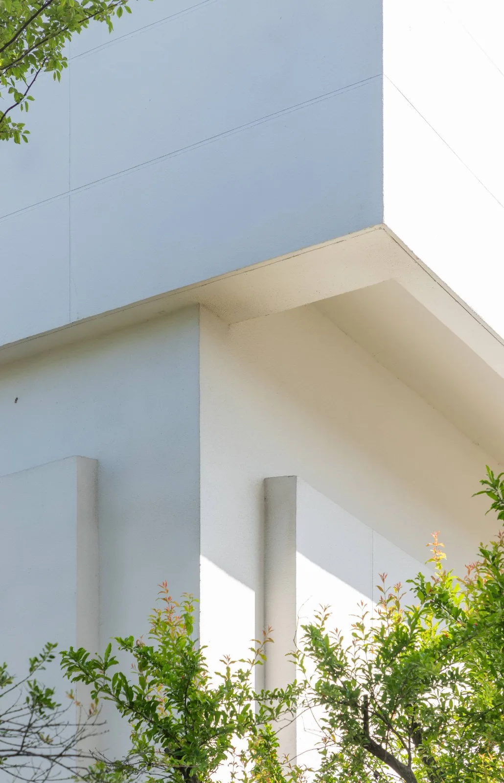 BIM建筑|美术馆语境下的温情工厂/ 田字格建筑事务所