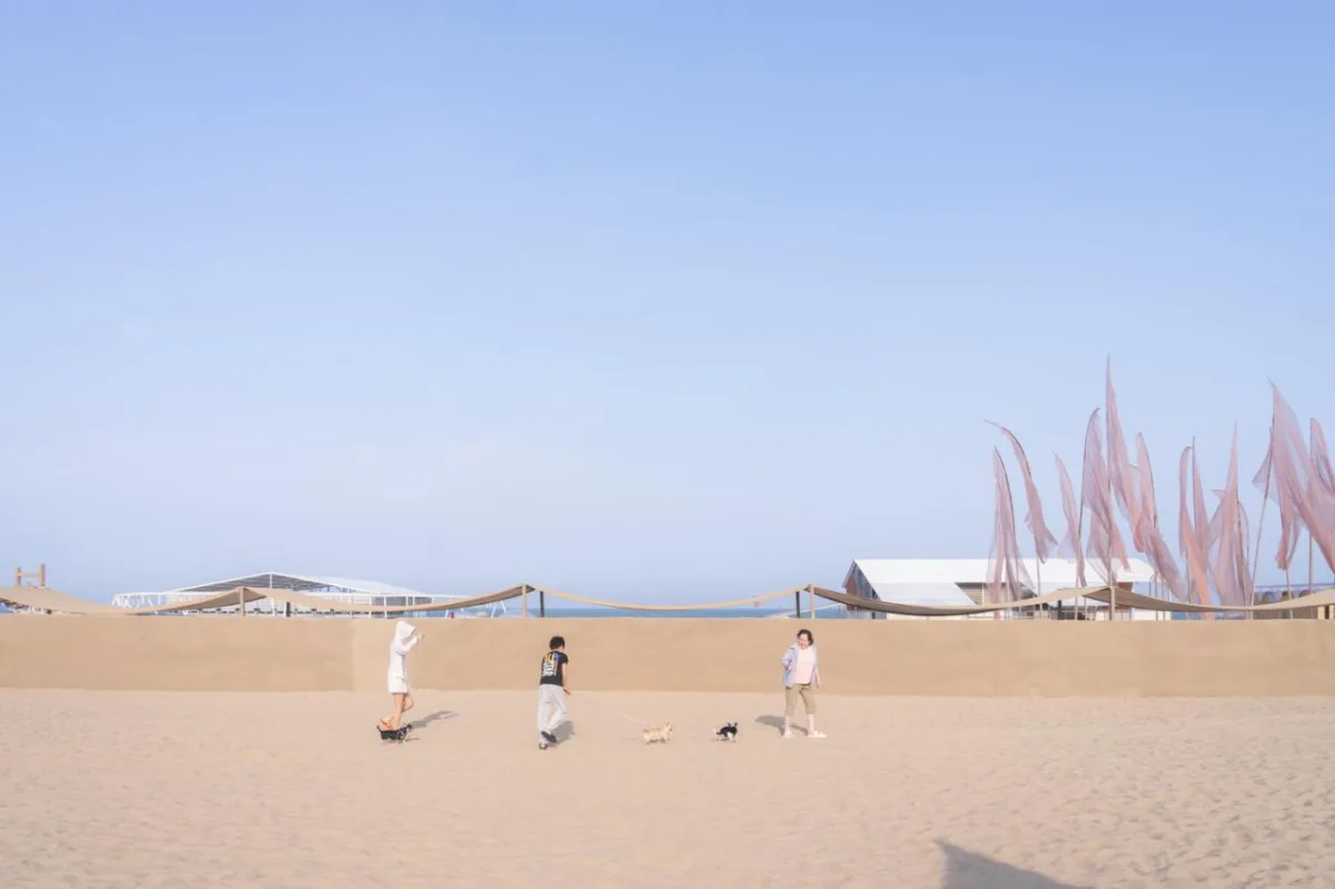 BIM建筑|候鸟沙城 ：“2024阿那亚戏剧节”新作 / 马岩松