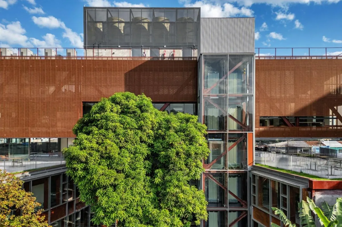 BIM建筑|鲁道夫斯坦纳大学 / Biselli Katchborian Arquitetos