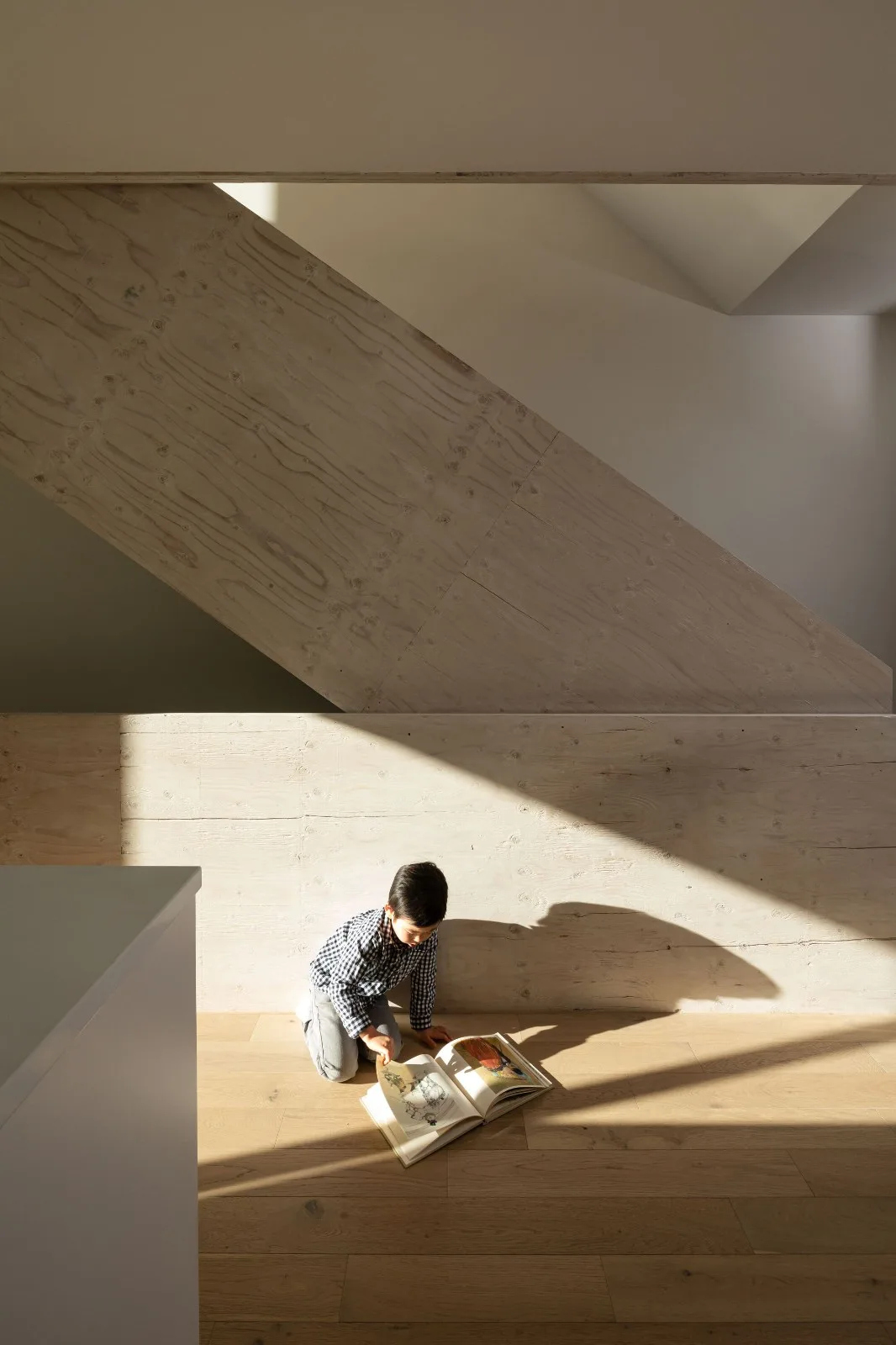 BIM建筑|Pearl 街区大楼 / D'Arcy Jones Architects