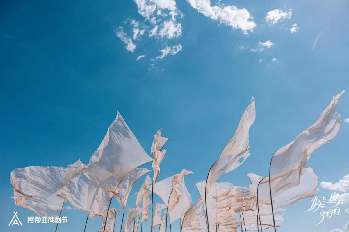 BIM建筑|候鸟沙城 ：“2024阿那亚戏剧节”新作 / 马岩松