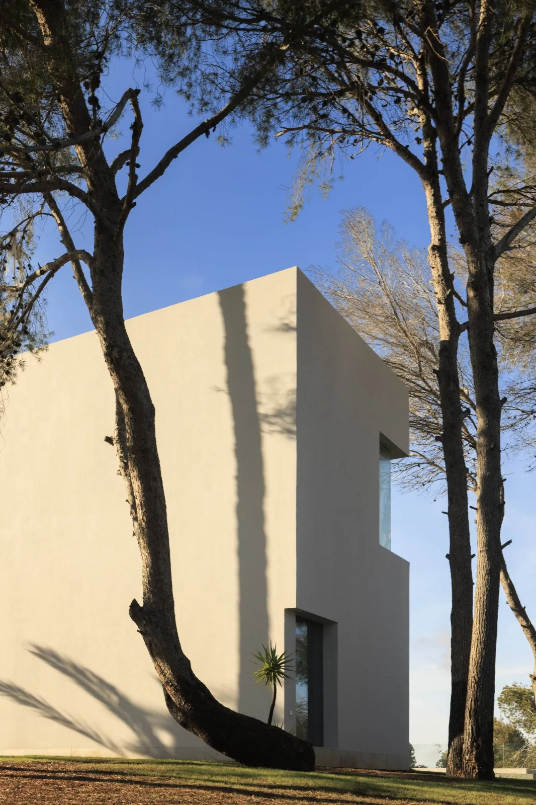 BIM建筑|Sabater 别墅 / Fran Silvestre Arquitectos