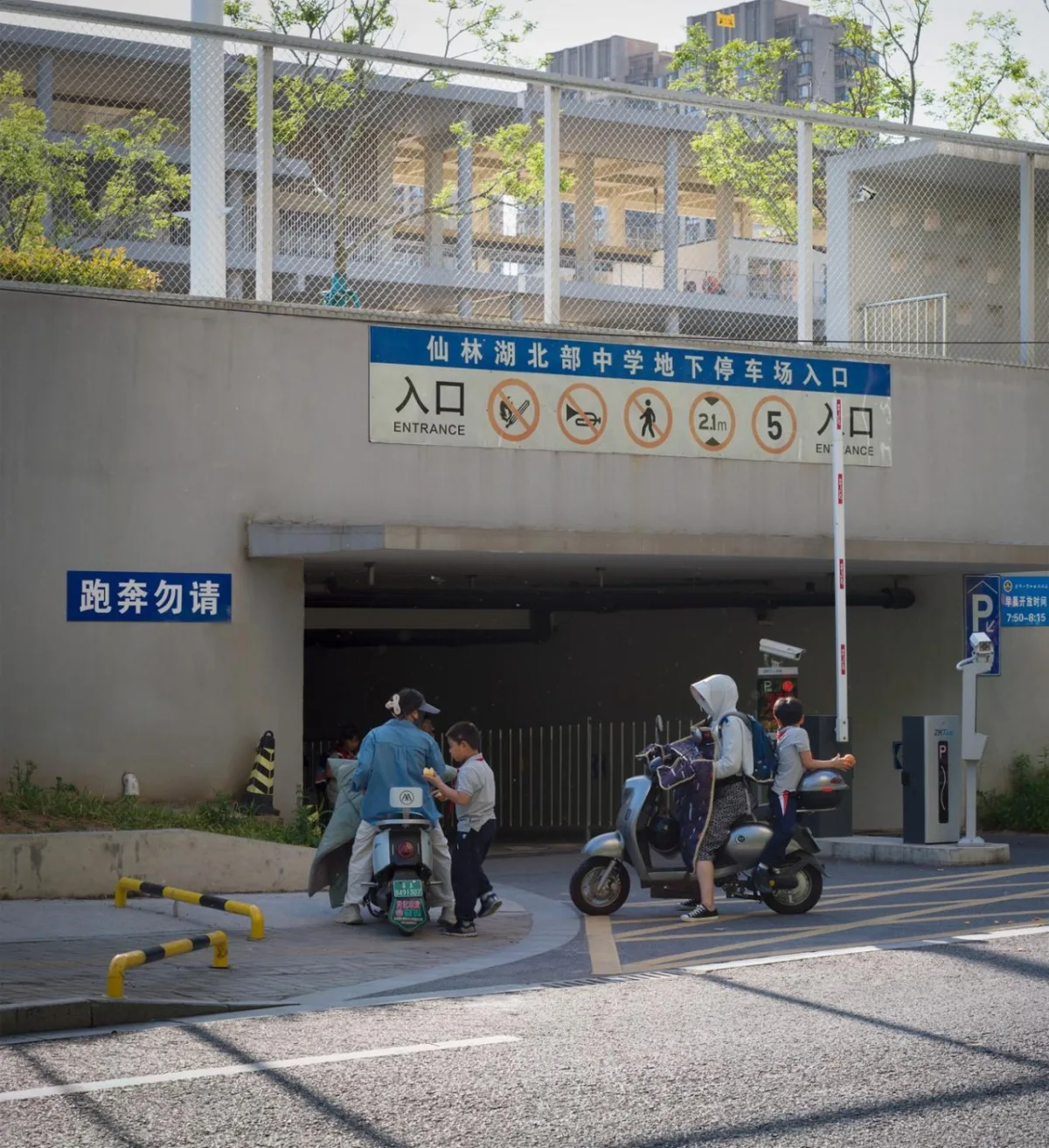 BIM建筑|仙林学校 / 雁飞建筑事务所