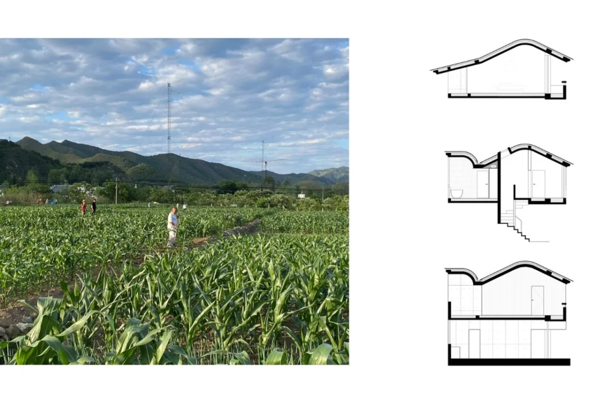 BIM建筑|玉米地住宅 / xiān 氙建筑工作室