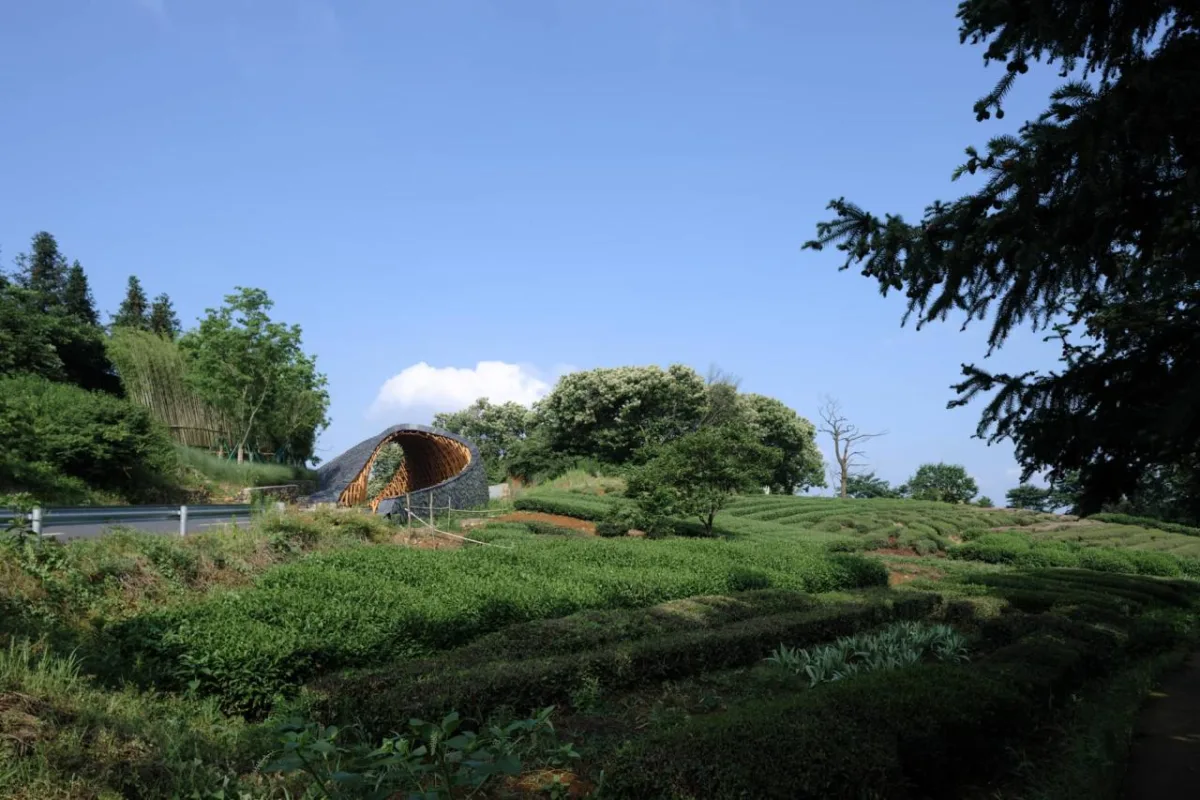 BIM建筑|上天入地：下岩贝穿云编木隧&腾云气象环 / 朱培栋-line+建筑事务所