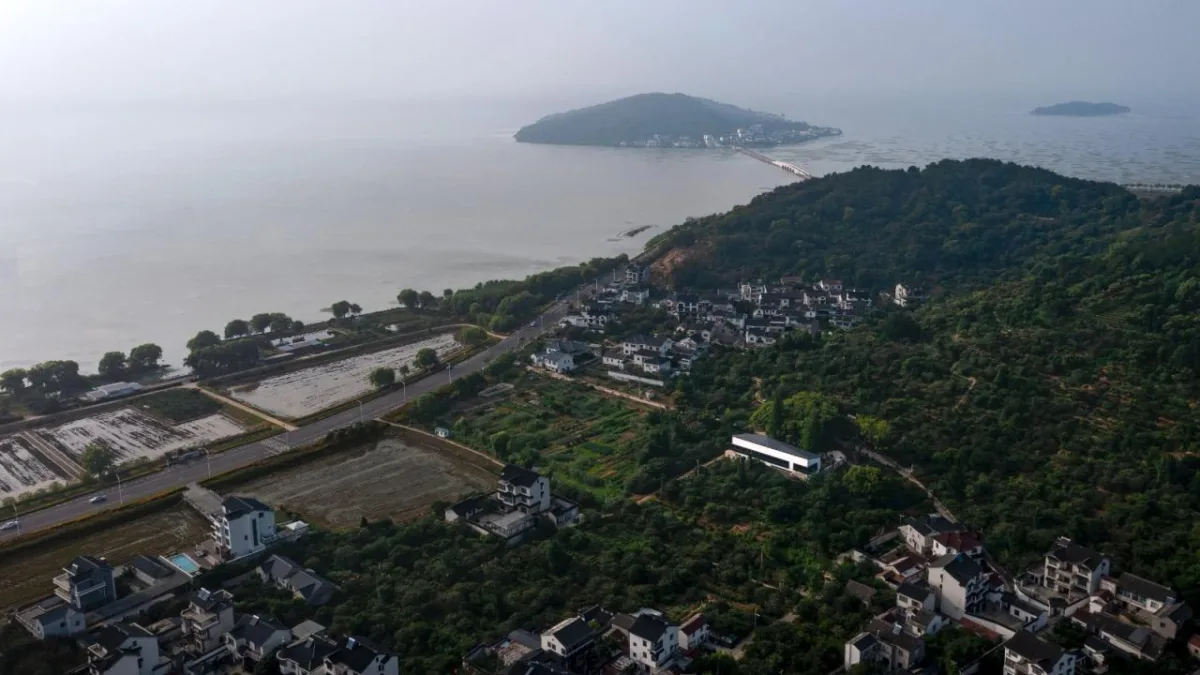BIM建筑|五樟庭文旅生活馆 / 平介设计+上瑞元筑