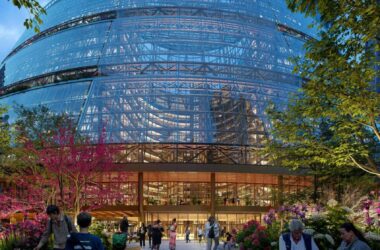 BIM建筑|谷歌和贾恩重新设计汤普森中心-BIM建筑网