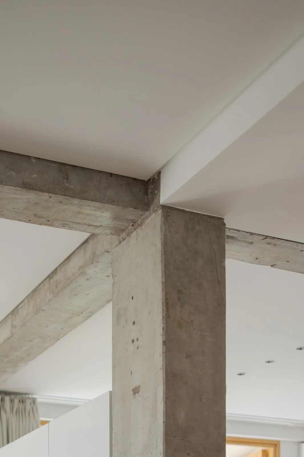 BIM建筑|小南居 / 直距建筑