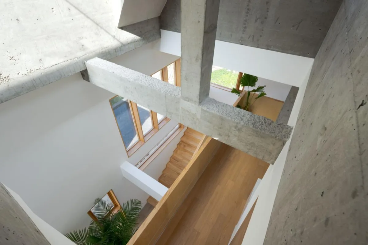 BIM建筑|小南居 / 直距建筑